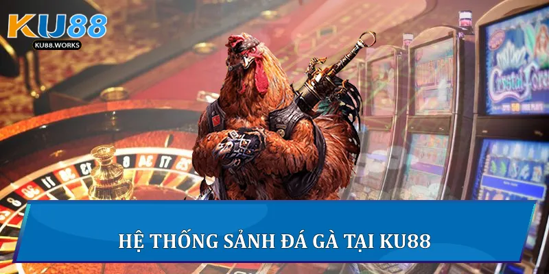 Đá Gà Ku88 - Trải Nghiệm Thực Chiến Gay Cấn Mỗi Ngày Hệ thống sảnh Đá gà tại Ku88