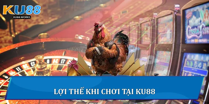 Đá Gà Cựa Dao - Cuộc Chiến Của Những Chiến Kê Tại Ku88 Lợi thế khi chơi tại Ku88