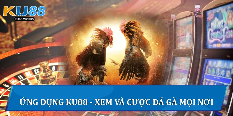 Đá Gà Ku88 - Trải Nghiệm Thực Chiến Gay Cấn Mỗi Ngày Ứng dụng Ku88 - Xem và cược đá gà mọi nơi